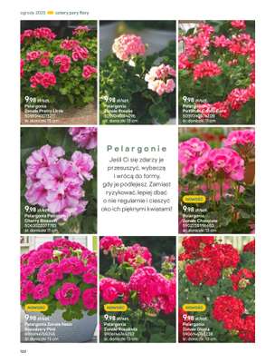 Castorama - gazetka promocyjna Katalog Ogrody, tarasy i balkony 2025 od środy 12.03 do środy 31.12 - strona 122