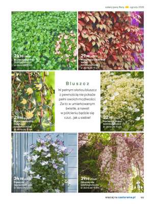 Castorama - gazetka promocyjna Katalog Ogrody, tarasy i balkony 2025 od środy 12.03 do środy 31.12 - strona 123