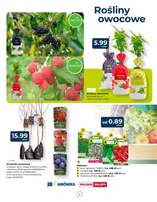 PSB Mrówka - gazetka promocyjna Gazetka od czwartku 13.03 do soboty 22.03 - strona 2 PSB Mrówka - gazetka promocyjna Gazetka od czwartku 13.03 do soboty 22.03 - strona 2