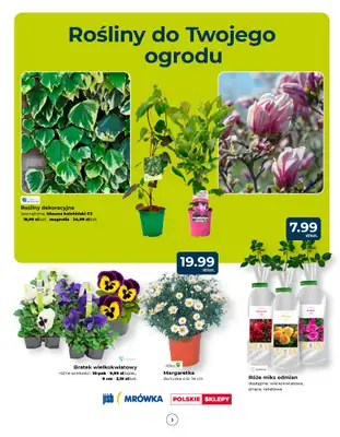 PSB Mrówka - gazetka promocyjna Gazetka od czwartku 13.03 do soboty 22.03 - strona 3 PSB Mrówka - gazetka promocyjna Gazetka od czwartku 13.03 do soboty 22.03 - strona 3