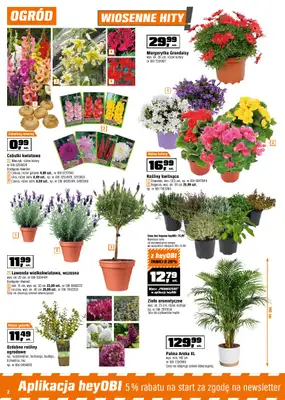 OBI - gazetka promocyjna Gazetka od środy 26.03 do wtorku 08.04 - strona 2