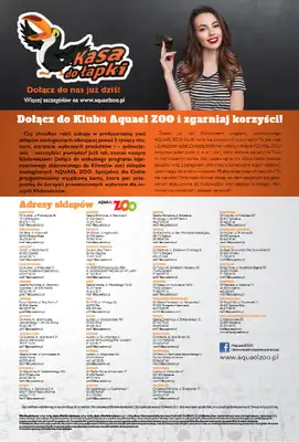 Aquael zoo - gazetka promocyjna Gazetka od środy 02.04 do środy 30.04 - strona 31
