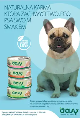 Aquael zoo - gazetka promocyjna Gazetka od środy 02.04 do środy 30.04 - strona 13