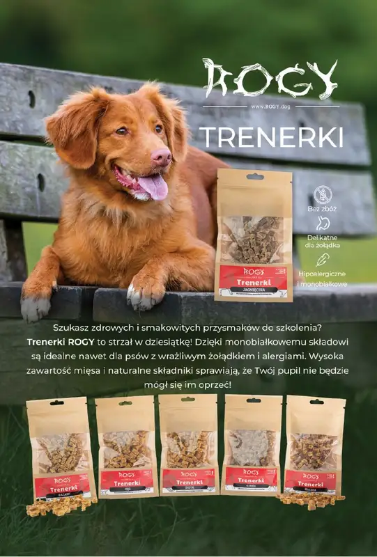 Aquael zoo - gazetka promocyjna Gazetka od środy 02.04 do środy 30.04 - strona 32