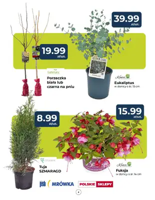 PSB Mrówka - gazetka promocyjna Gazetka od czwartku 03.04 do niedzieli 13.04 - strona 4