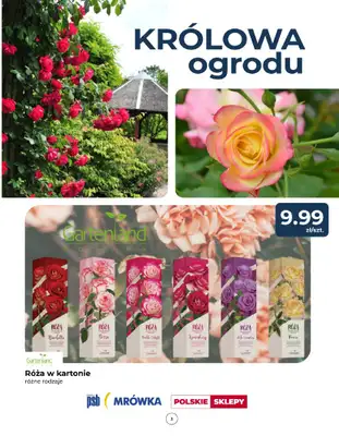 PSB Mrówka - gazetka promocyjna Gazetka od czwartku 03.04 do niedzieli 13.04 - strona 3