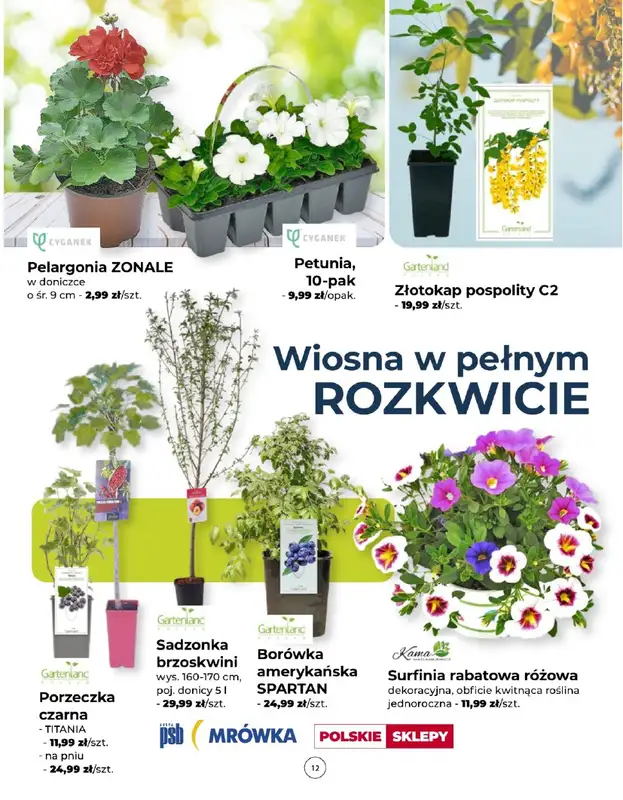 PSB Mrówka - gazetka promocyjna Gazetka od czwartku 24.04 do piątku 02.05 - strona 12