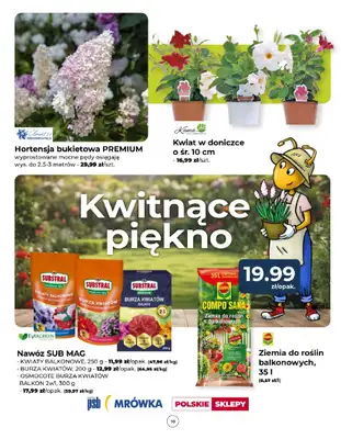 PSB Mrówka - gazetka promocyjna Gazetka od czwartku 24.04 do piątku 02.05 - strona 10