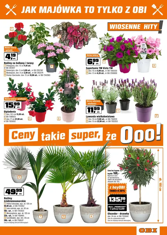OBI - gazetka promocyjna Gazetka od środy 23.04 do wtorku 06.05 - strona 5