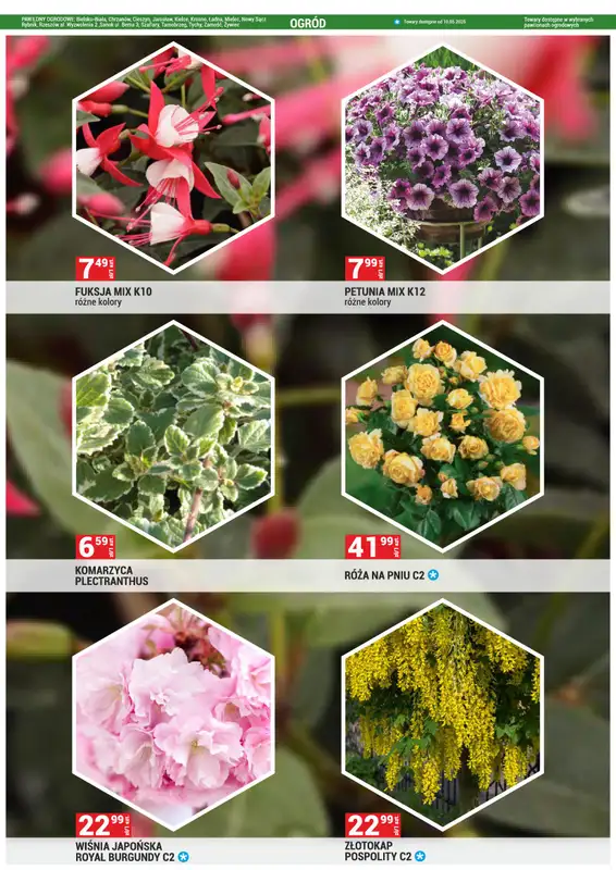 Merkury Market - gazetka promocyjna Gazetka od piątku 02.05 do soboty 31.05 - strona 13