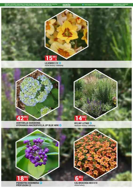 Merkury Market - gazetka promocyjna Gazetka od piątku 02.05 do soboty 31.05 - strona 12