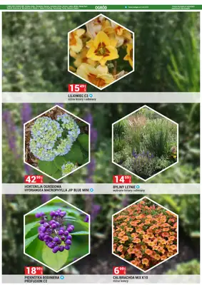 Merkury Market - gazetka promocyjna Gazetka od piątku 02.05 do soboty 31.05 - strona 12 Merkury Market - gazetka promocyjna Gazetka od piątku 02.05 do soboty 31.05 - strona 12