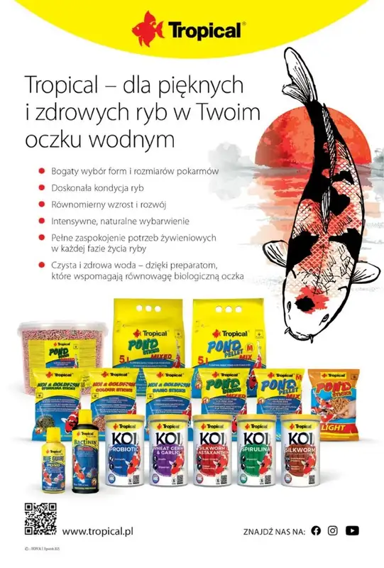 Aquael zoo - gazetka promocyjna Gazetka od wtorku 06.05 do soboty 31.05 - strona 25