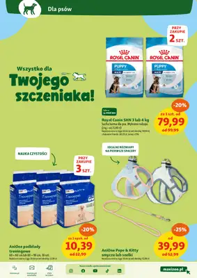 MAXI ZOO - gazetka promocyjna Maxi Zoo - Wszystko dla Twojego pupila od czwartku 08.05 do środy 14.05 - strona 5 MAXI ZOO - gazetka promocyjna Maxi Zoo - Wszystko dla Twojego pupila od czwartku 08.05 do środy 14.05 - strona 5