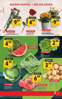 Arhelan - gazetka promocyjna Gazetka od piątku 23.05 do niedzieli 01.06 - strona 3