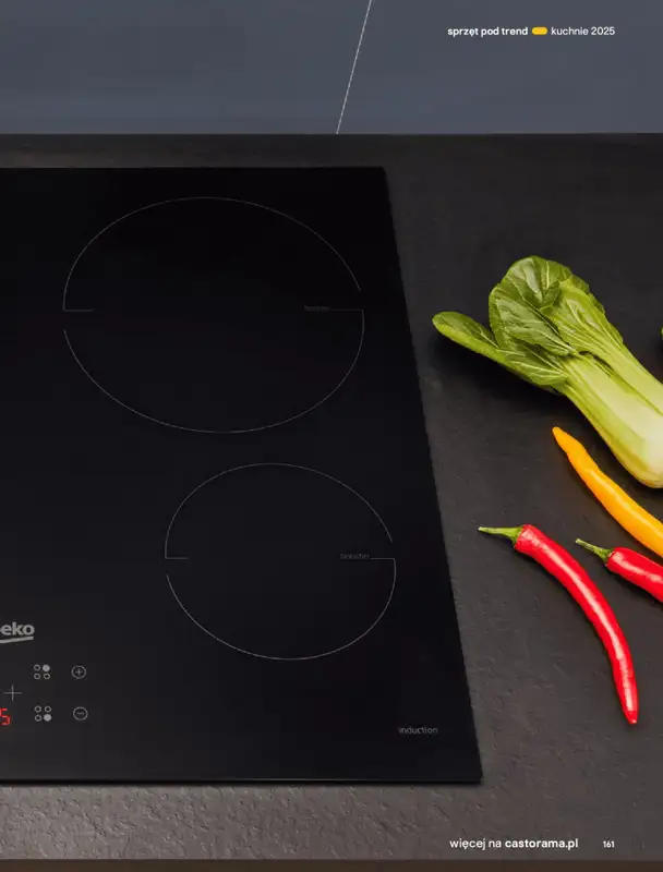 Castorama - gazetka promocyjna Katalog Kuchnie 2025 od poniedziałku 19.05 do wtorku 30.09 - strona 161