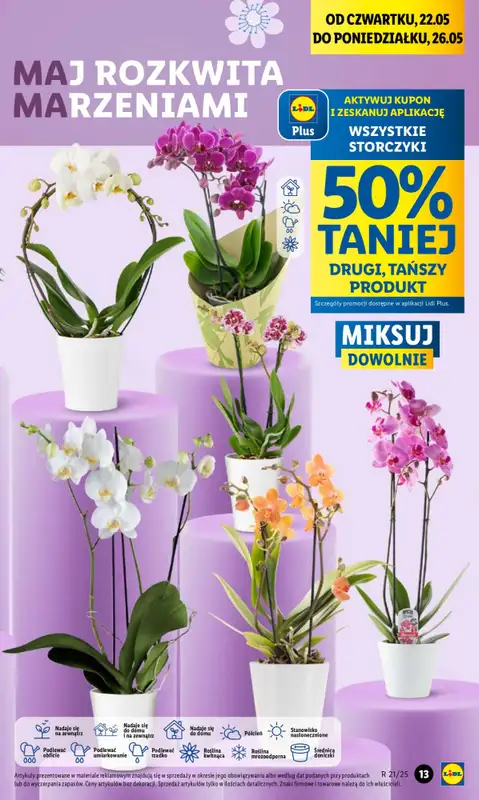 #Dzień Matki - gazetka promocyjna Lidl I Dzień mamy w Lidlu od czwartku 22.05 do soboty 24.05 - strona 10