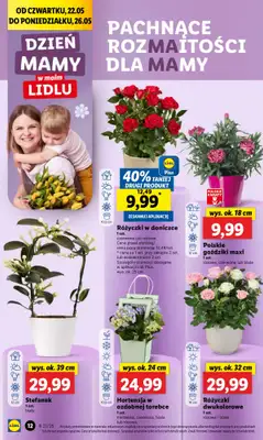 #Dzień Matki - gazetka promocyjna Lidl I Dzień mamy w Lidlu od czwartku 22.05 do soboty 24.05 - strona 9