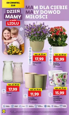 #Dzień Matki - gazetka promocyjna Lidl I Dzień mamy w Lidlu od czwartku 22.05 do soboty 24.05 - strona 13