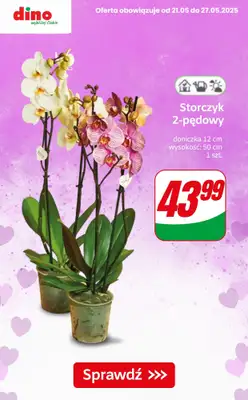 #Dzień Matki - gazetka promocyjna Dino | Kwiaty, czekoladki i upominki na Dzień Mamy! od czwartku 22.05 do poniedziałku 26.05 - strona 2