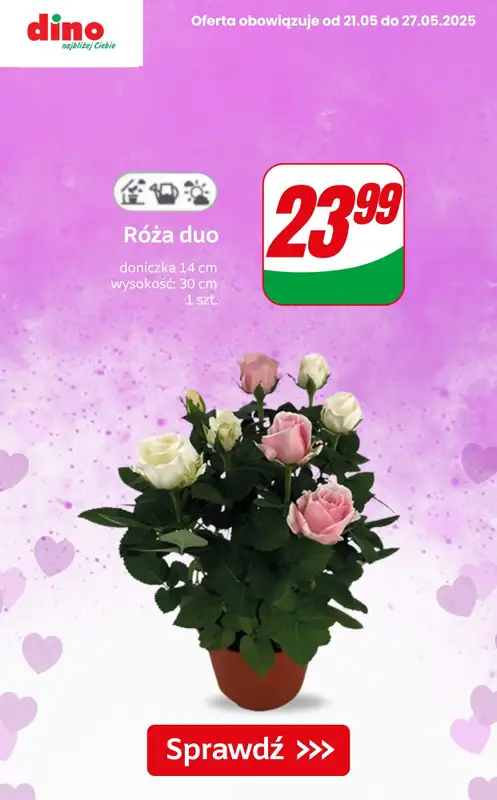 #Dzień Matki - gazetka promocyjna Dino | Kwiaty, czekoladki i upominki na Dzień Mamy! od czwartku 22.05 do poniedziałku 26.05 - strona 5