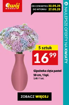 #Dzień Matki - gazetka promocyjna Kwiaty dla Mamy - przegląd sklepów od czwartku 22.05 do poniedziałku 26.05 - strona 5