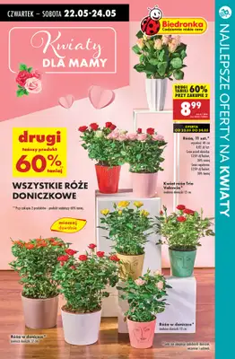 #Dzień Matki - gazetka promocyjna Kwiaty dla Mamy - przegląd sklepów od czwartku 22.05 do poniedziałku 26.05 - strona 2