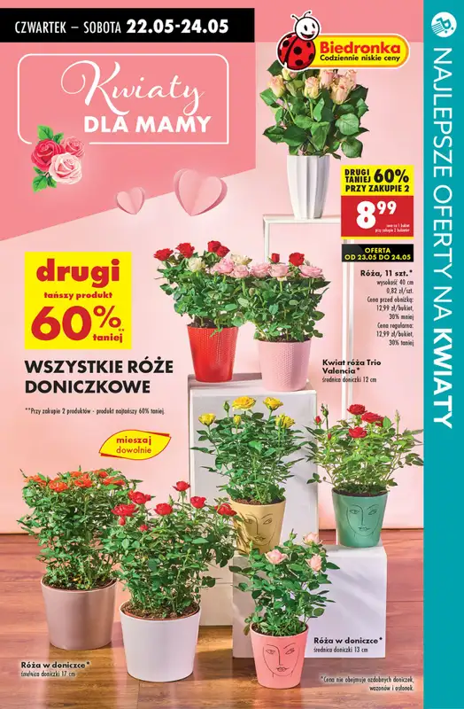 #Dzień Matki - gazetka promocyjna Kwiaty dla Mamy - przegląd sklepów od czwartku 22.05 do poniedziałku 26.05 - strona 2