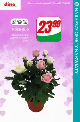 #Dzień Matki - gazetka promocyjna Kwiaty dla Mamy - przegląd sklepów od czwartku 22.05 do poniedziałku 26.05 - strona 4