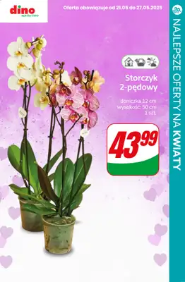 #Dzień Matki - gazetka promocyjna Kwiaty dla Mamy - przegląd sklepów od czwartku 22.05 do poniedziałku 26.05 - strona 7