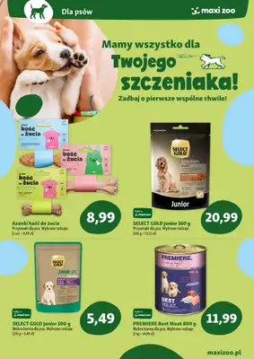 MAXI ZOO - gazetka promocyjna Maxi Zoo - Wszystko dla szczeniaka i kociaka od niedzieli 01.06 do poniedziałku 30.06 - strona 2 MAXI ZOO - gazetka promocyjna Maxi Zoo - Wszystko dla szczeniaka i kociaka od niedzieli 01.06 do poniedziałku 30.06 - strona 2