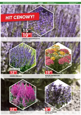 Merkury Market - gazetka promocyjna Gazetka od niedzieli 01.06 do poniedziałku 30.06 - strona 60 Merkury Market - gazetka promocyjna Gazetka od niedzieli 01.06 do poniedziałku 30.06 - strona 60