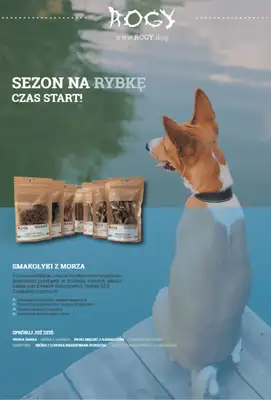 Aquael zoo - gazetka promocyjna Gazetka od poniedziałku 02.06 do poniedziałku 30.06 - strona 16