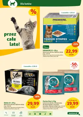 MAXI ZOO - gazetka promocyjna Maxi Zoo - Wszystko dla Twojego pupila od czwartku 05.06 do środy 11.06 - strona 7 MAXI ZOO - gazetka promocyjna Maxi Zoo - Wszystko dla Twojego pupila od czwartku 05.06 do środy 11.06 - strona 7