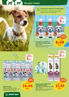 MAXI ZOO - gazetka promocyjna Maxi Zoo - Wszystko dla Twojego pupila od czwartku 05.06 do środy 11.06 - strona 12 MAXI ZOO - gazetka promocyjna Maxi Zoo - Wszystko dla Twojego pupila od czwartku 05.06 do środy 11.06 - strona 12