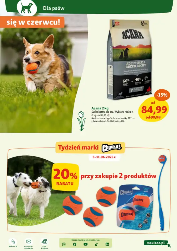 MAXI ZOO - gazetka promocyjna Maxi Zoo - Wszystko dla Twojego pupila od czwartku 05.06 do środy 11.06 - strona 9