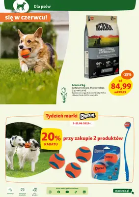 MAXI ZOO - gazetka promocyjna Maxi Zoo - Wszystko dla Twojego pupila od czwartku 05.06 do środy 11.06 - strona 9 MAXI ZOO - gazetka promocyjna Maxi Zoo - Wszystko dla Twojego pupila od czwartku 05.06 do środy 11.06 - strona 9