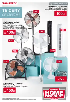 Woolworth - gazetka promocyjna Gazetka od piątku 06.06 do poniedziałku 16.06 - strona 14 Woolworth - gazetka promocyjna Gazetka od piątku 06.06 do poniedziałku 16.06 - strona 14