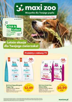 MAXI ZOO - gazetka promocyjna Maxi Zoo - Wszystko dla Twojego pupila od czwartku 12.06 do środy 09.07