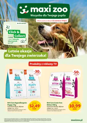 MAXI ZOO - gazetka promocyjna Maxi Zoo - Wszystko dla Twojego pupila od czwartku 12.06 do środy 09.07 MAXI ZOO - gazetka promocyjna Maxi Zoo - Wszystko dla Twojego pupila od czwartku 12.06 do środy 09.07