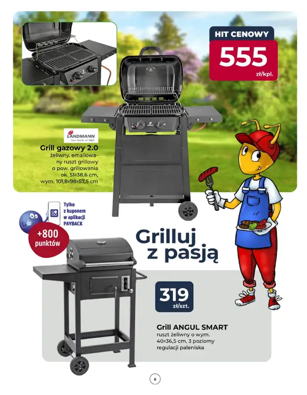 PSB Mrówka - gazetka promocyjna Gazetka od czwartku 12.06 do soboty 21.06 - strona 6