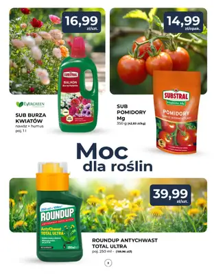 PSB Mrówka - gazetka promocyjna Gazetka od czwartku 12.06 do soboty 21.06 - strona 8