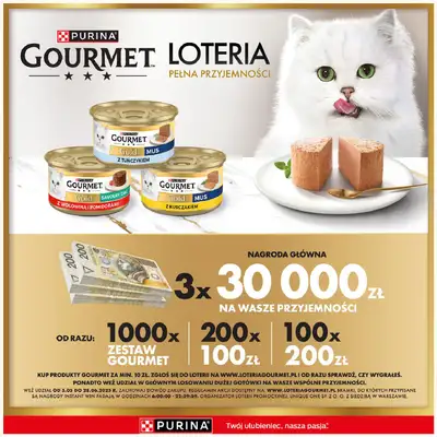 Frisco - gazetka promocyjna Gazetka od poniedziałku 16.06 do niedzieli 29.06 - strona 30