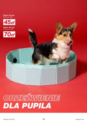 KiK - gazetka promocyjna Gazetka od poniedziałku 09.06 do poniedziałku 30.06 - strona 10