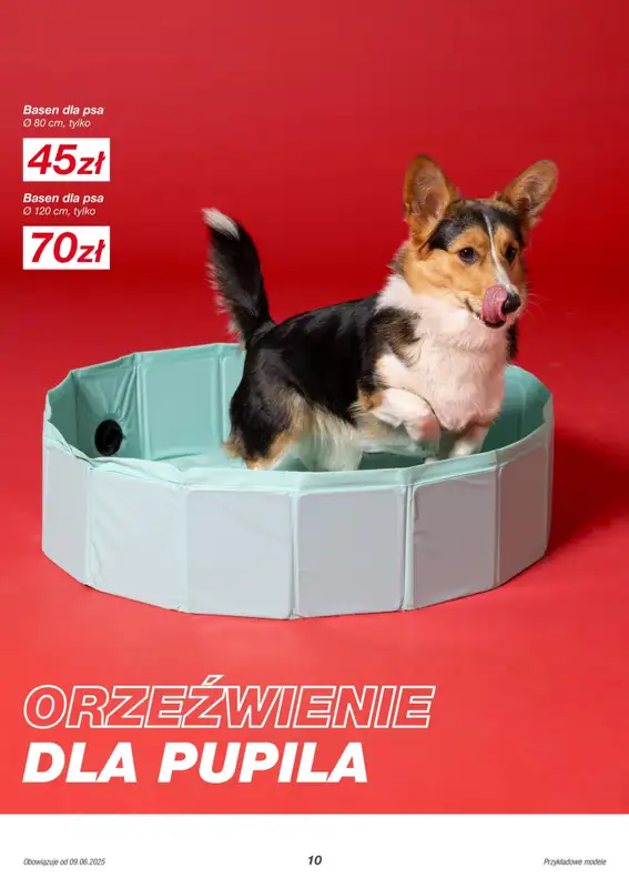 KiK - gazetka promocyjna Gazetka od poniedziałku 09.06 do poniedziałku 30.06 - strona 10