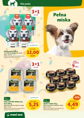 MAXI ZOO - gazetka promocyjna Maxi Zoo - Wszystko dla Twojego pupila od czwartku 10.07 do środy 16.07 - strona 4 MAXI ZOO - gazetka promocyjna Maxi Zoo - Wszystko dla Twojego pupila od czwartku 10.07 do środy 16.07 - strona 4