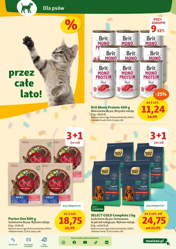 MAXI ZOO - gazetka promocyjna Maxi Zoo - Wszystko dla Twojego pupila od czwartku 10.07 do środy 16.07 - strona 5