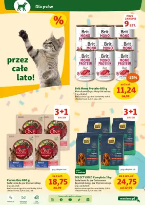 MAXI ZOO - gazetka promocyjna Maxi Zoo - Wszystko dla Twojego pupila od czwartku 10.07 do środy 16.07 - strona 5 MAXI ZOO - gazetka promocyjna Maxi Zoo - Wszystko dla Twojego pupila od czwartku 10.07 do środy 16.07 - strona 5