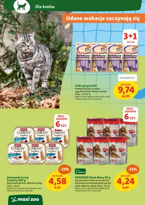 MAXI ZOO - gazetka promocyjna Maxi Zoo - Wszystko dla Twojego pupila od czwartku 10.07 do środy 16.07 - strona 10 MAXI ZOO - gazetka promocyjna Maxi Zoo - Wszystko dla Twojego pupila od czwartku 10.07 do środy 16.07 - strona 10