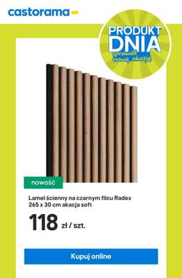 Castorama - gazetka promocyjna PRODUKT DNIA - sprawdź nową okazję! od środy 30.07 do środy 30.07